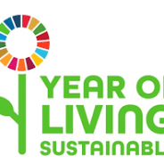 First year (&first outcomes) of the Sustainable Development Goals
