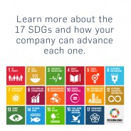 The role of private sector in SDGs implementation