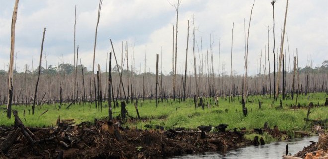 Economic downturn the major cause of environmental degradation .